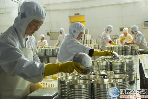 日本罐头加工女工项目
